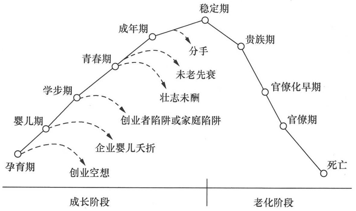 到底什么是真正有活力的企业?